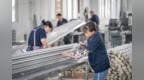 南京的“风”吹到海外！订单已排到下半年