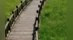 生活的味道　不是只有苦和辣