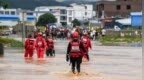 积水迫使毒蛇向民居、楼道转移藏匿，广西横州发布防治应急指引