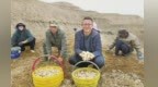 90后新农人祁顺利：让乡亲们的“钱袋子”鼓起来