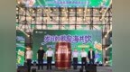 “岁月如歌·泉海共饮”2026青岛海泉湾啤酒夏夜狂欢季盛大启幕