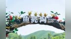 【旅发时刻】鱼亮沟 | 小溪穿村过，幸福滚滚来