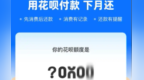 “花呗崩了”冲上热搜！金融应用“宕机”如何应对
