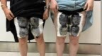 8名旅客穿宽大裙子绑藏33只活体龟入境被查获