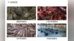 江苏叁拾叁与您相约2026“机器人＋”创新发展大会，7月11-13日山东邹城见！