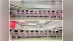 “甬”向尖端·答卷祖国——宁波籍信息技术领域科学家精神主题展在宁波大学启幕
