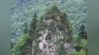 陕西摩天岭国家级自然保护区成功加入中国生物圈保护区网络