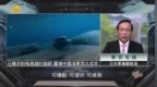 评论员：日本构建非对称“岛链”封锁网，图谋牵制中国海军西太发展
