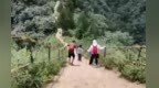 难度不同、场景多样 11条秦岭生态友好徒步路线上新