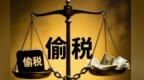 “暂估费用”为哪般？——揭秘天水市金虹电力工程有限公司骗享税费优惠偷税案