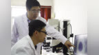 秦皇岛：燕山大学荣获国家自然科学奖二等奖