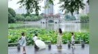 宜春：雨润荷香惹人醉（图）