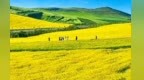 甘肃武威：盘活“凉资源”　做旺夏日“热消费”