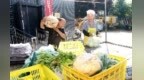 暖“心”闻：乡村幸福院守护老人幸福“食”光