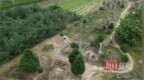 “10岁男孩被生母继父虐死”案二审维持原判：生母无期继父死刑
