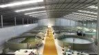 甘洛县嘎日乡水产现代农业园区建设项目全面开工