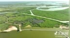 15天“喝”下137个大明湖 黄河三角洲自然保护区生态补水效率再创新高