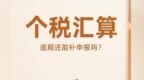 “补税提醒”躲一躲能“翻篇”？不容轻视！