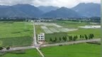 种23万亩水稻上报38万亩，当地官员：我们只要没有抛荒，肯定是说完成了