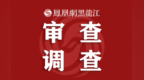 黑龙江省双鸭山市经济技术开发区党工委副书记、管委会主任王鹤接受纪律审查和监察调查