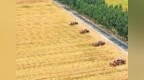 从农田到餐桌，山东加快织密食品安全全链条监管网