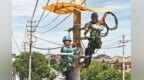 2451.8万千瓦！  宁波电网今年第三次刷新历史极值