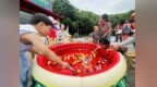 守护“小候鸟” 北仑在行动