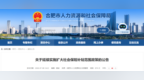关于延续实施扩大社会保险补贴范围，合肥发布公告