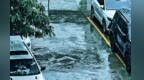 甘肃这些县区注意防范滑坡泥石流　强降水何时休