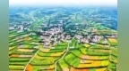 庄国泰：促农村新旧动能转换　让特产卖好价