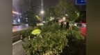 浙江宣传：“巴威”让我们相信