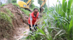 枣庄市山亭区成功应对历史最强降雨：众志成城筑防线 平稳度汛护民生