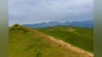 22°C的祁连山风里，用葡萄酒叫醒夏天