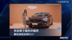 来自骨子里得中国风，静态体验吉利FS21