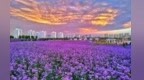清凉一“夏”　甘肃金昌夏日避暑游玩路线全推荐