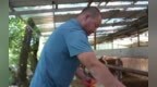【甘快看】甘肃渭源：肉牛养殖助力乡村振兴