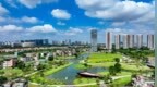 凤凰观势：探索镇域振兴的“青春解法”，顺德在下一盘什么棋？