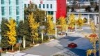 考生实名举报四川幼专涉嫌招聘违规，称入围者疑为校内编外人员，多方回应