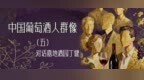 中国葡萄酒人群像⑤｜丁健：中国葡萄酒最好的时候还没有来