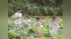 万年县：为“荷”而来（图）