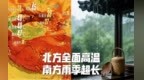 今年三伏天，我劝你一定要「坐」着