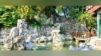 孔府后花园夏日图鉴