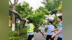 射阳：闻“风”而动织密防线 同心聚力守护安宁