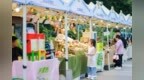 晚风、歌声与烟火市集！7月17日赴约仲夏夜歌会