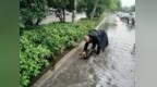 陕西各地各部门全力以赴防汛备汛