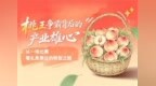 “桃王”争霸背后的产业雄心丨从一场比赛看礼泉果业的转型之路