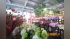 一图速览︱江西提振消费新举措
