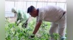 甘肃首条果蔬无菌冷灌装生产线落地　金川"汁"富有良方
