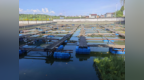 走出杨凌看示范｜科技赋能一池活水养出富民好光景