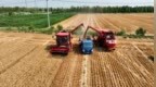 中国银行山东省分行：一渠活水润齐鲁 沃土生金满粮仓